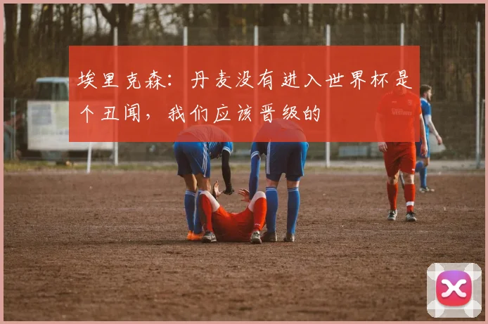 埃里克森：丹麦没有进入世界杯是个丑闻，我们应该晋级的