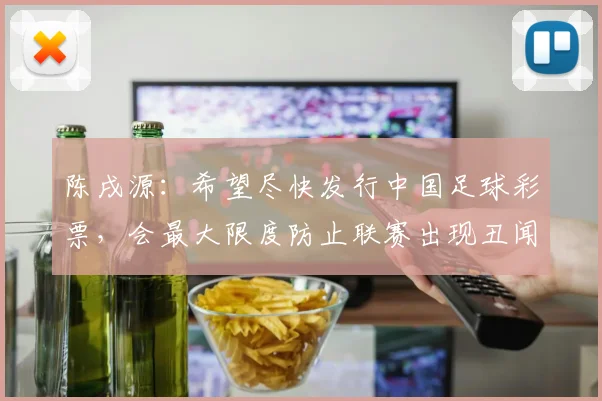 陈戌源：希望尽快发行中国足球彩票，会最大限度防止联赛出现丑闻
